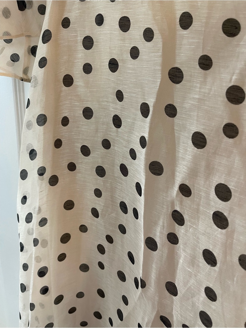 HALE BOB Aiyana Organza Maxi Dress Cream Polka Dot Ruffle with Black Trim Size S - Picture 8 of 12